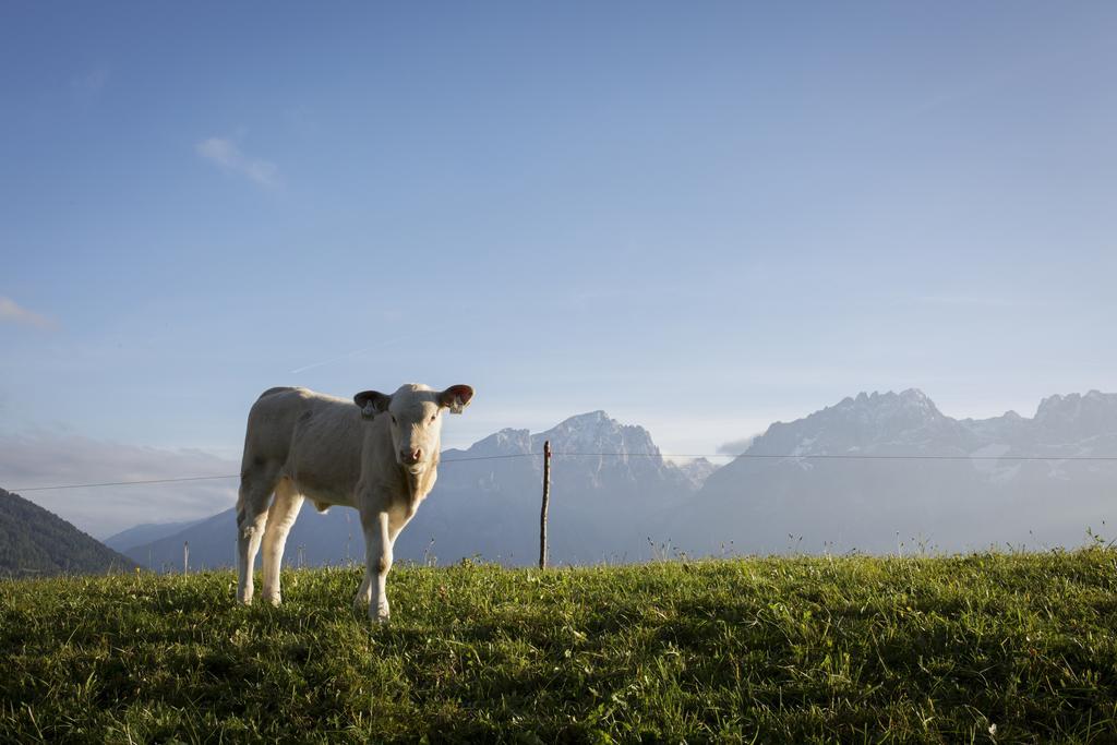 Vila Straganzhof Iselsberg Exteriér fotografie